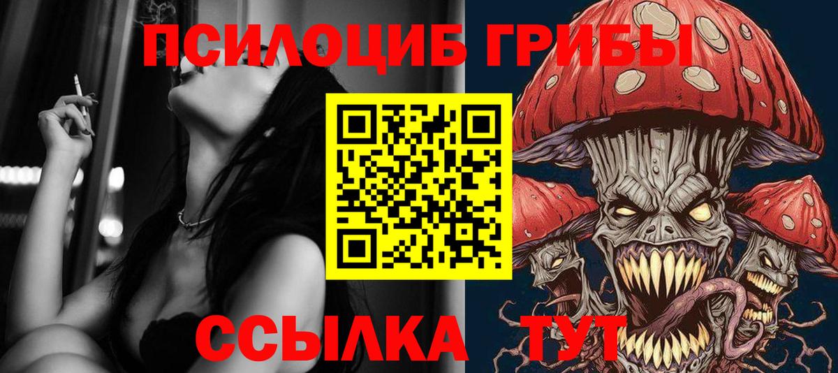 Торжок  Псилоцибиновые грибы MAGIC MUSHROOMS  Вход с VPN 